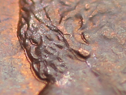 1997-D-DDO-Double-Ear,-Hair,-Eye!